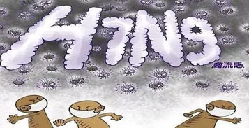 南昌嚴禁任何活禽入市 學校里還能吃到雞肉嗎