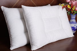 羽翼生輝，暖動蕭山 第十五屆中國羽絨制品及服裝服飾博覽會暨首屆蕭山國際羽絨節啟幕