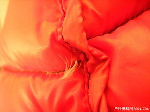 超輕面料羽絨制品鉆絨現象全解析 以事實說話，理性看待品質挑戰