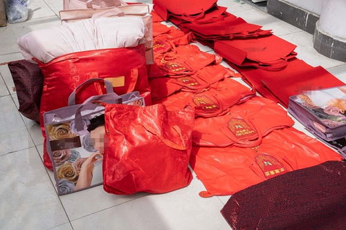 低至四折的明星產品藏貓膩 水星家紡大豆被遭仿冒，上海警方搗毀偽劣羽絨制品窩點